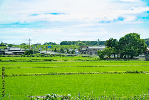 兵庫県・加古郡稲美町の風景 photo