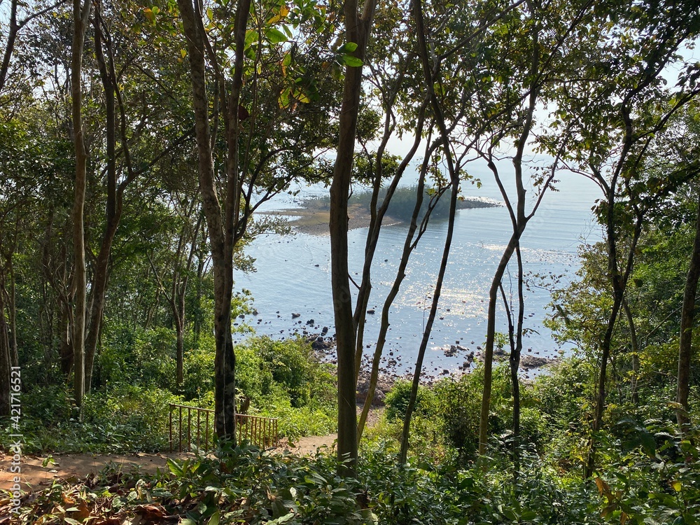 Fototapeta premium Forest adjacent to the water source