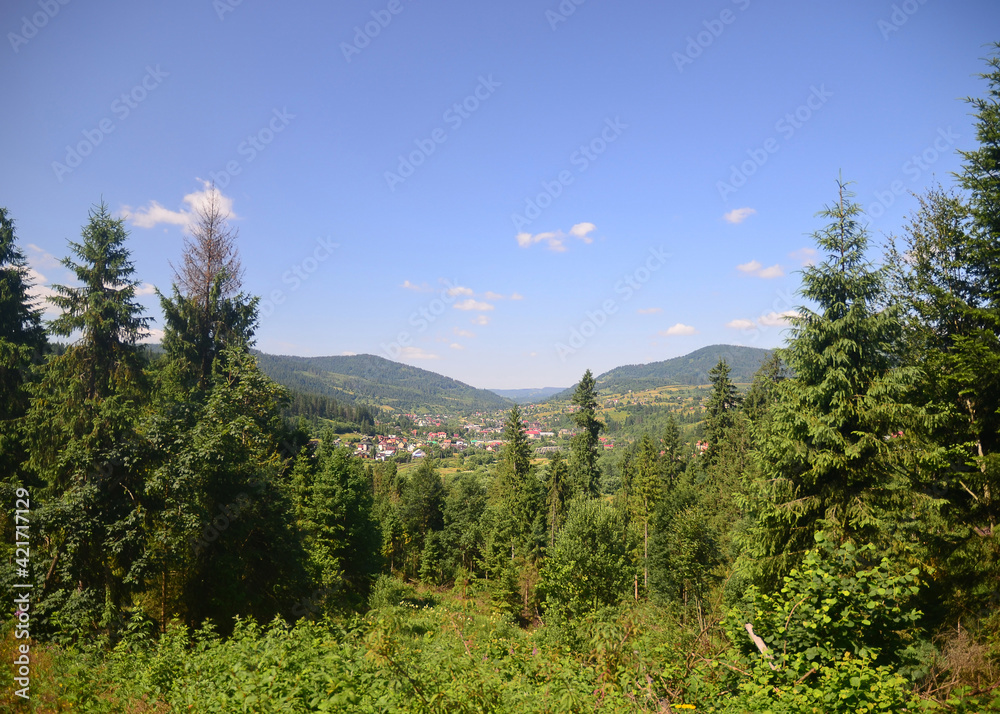 Fototapeta premium summer carpathian mountain landscape. green hills rolling in to the distance. fluffy clouds on the blue sky above the valley. bright sunny day