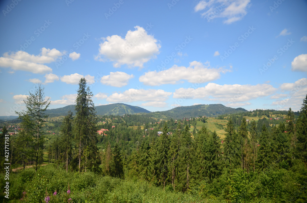 summer carpathian mountain landscape. green hills rolling in to the distance. fluffy clouds on the blue sky above the valley. bright sunny day