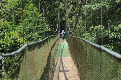 Fototapeta Naklejka Na Ścianę i Meble -  Woman crossing a hanging bridge sarapiqui arenal la fortuna Costa Rica