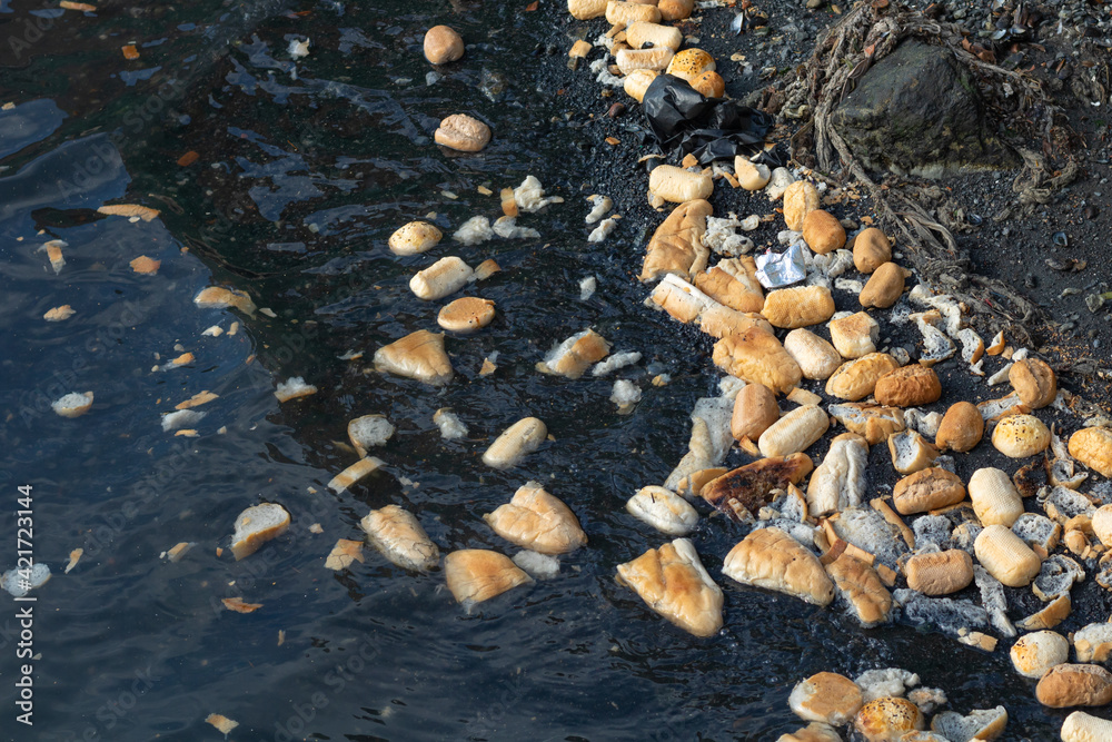 food waste background photo. breads on the sea. food waste background photo. breads on the sea.