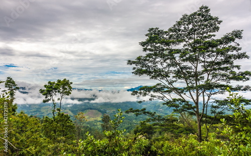 Fototapeta Naklejka Na Ścianę i Meble -  Mountain landscape landscape with clouds in the sky in Sri Lanka