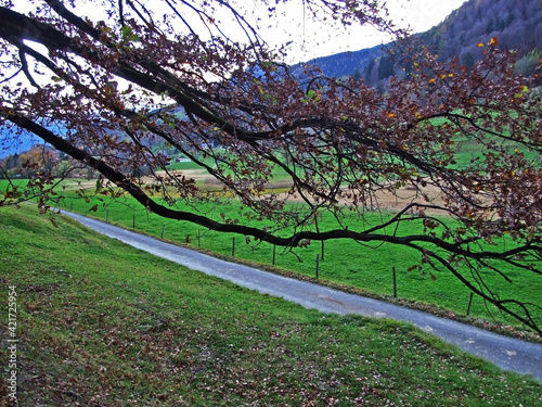 Trails for walking, hiking, sports and recreation on the slopes of the Sevelerberg and Werdenberg mountains, Sevelen - Canton of St. Gallen, Switzerland (Schweiz) photo