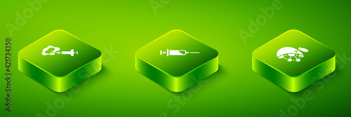 Set Isometric Syringe, Biological structure and icon. Vector