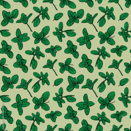  Basil Seamless Pattern. Italian herbs. Marjoram pattern. Hand-drawn illustration