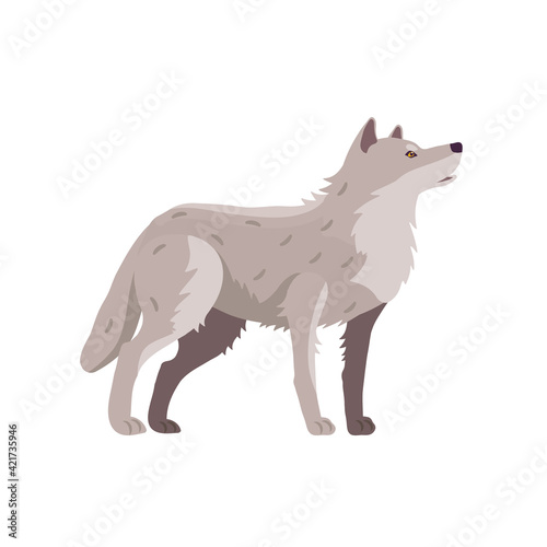 Wolf. Dog. A predator. A wild animal. Vector illustration of an animal on a white background.
