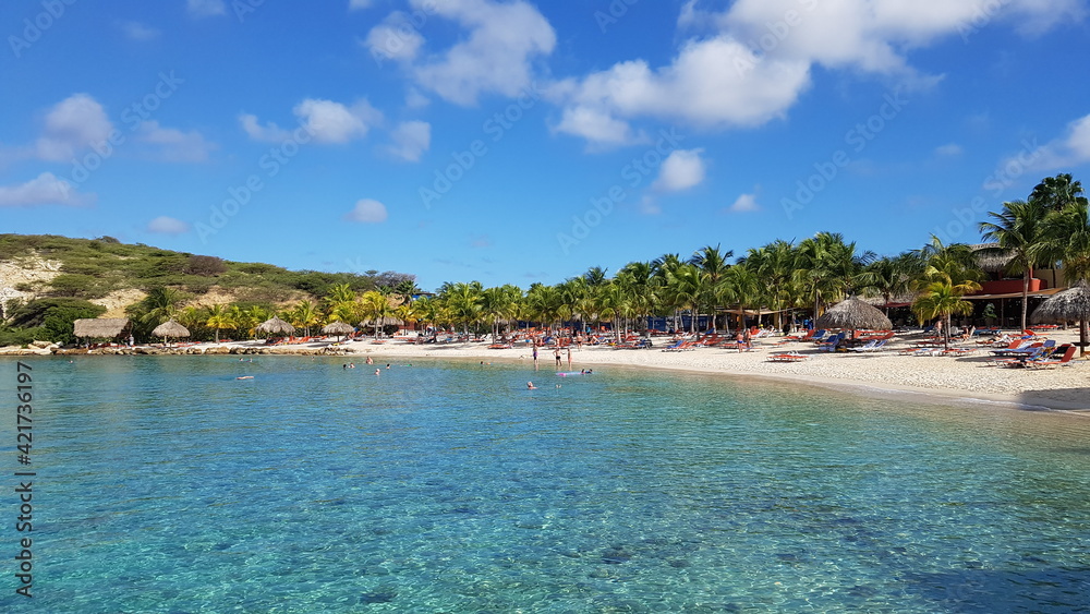 beach with palm trees in curacao