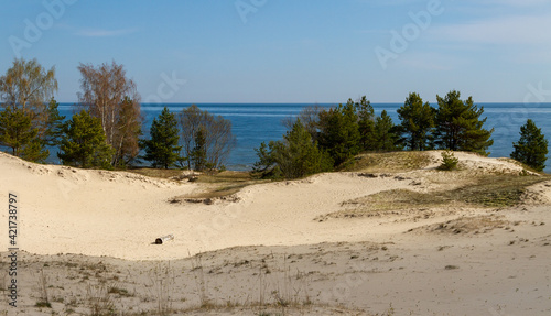 Fototapeta Naklejka Na Ścianę i Meble -  Sand dunes at the Baltic sea.