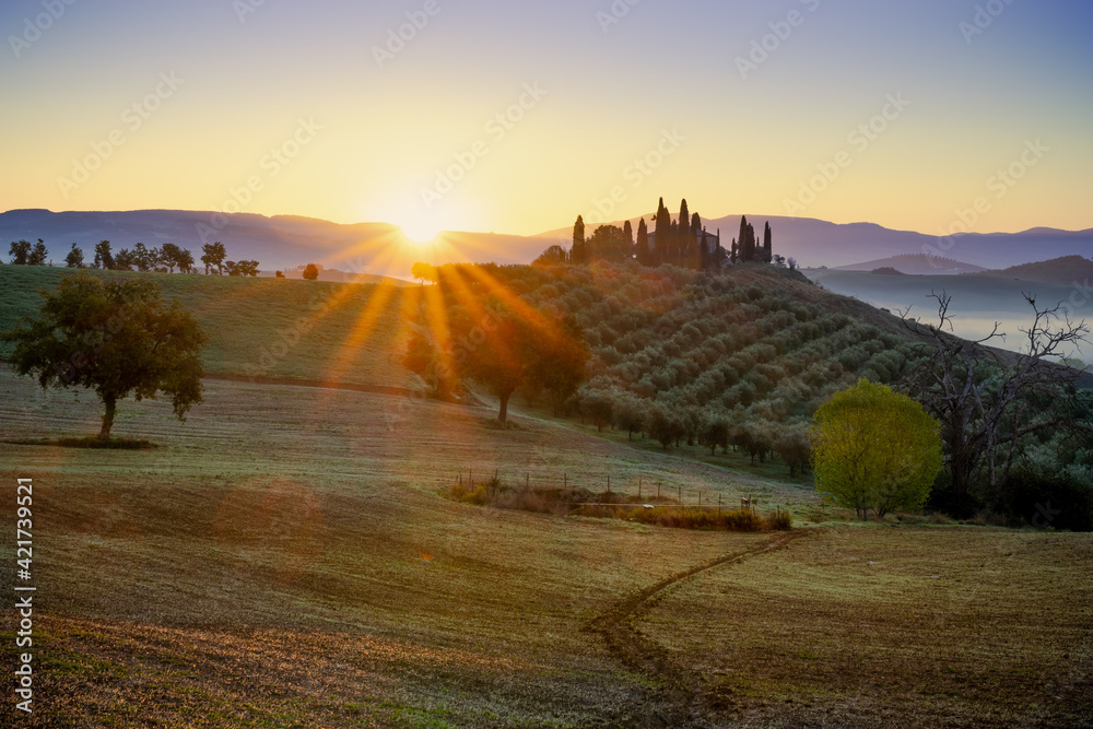 Belvedere farmhouse. Orcia Valley, Siena district, Tuscany, Italy, Europe.