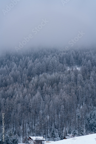 winter day in the snowy Italian Alps © Matteo