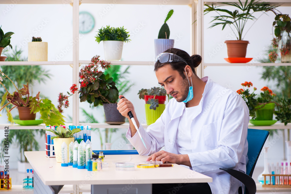 Young male chemist perfumer working in the lab Young male chemist perfumer working in the lab