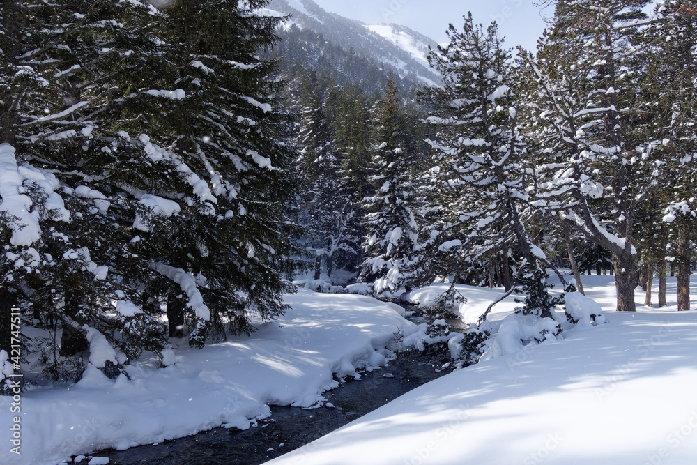 Obraz premium Galbe Valley in winter (Pyrenees, France)