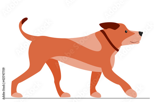 Brown dog with stains. Homemade pet with collar. Vector  isolated on white  style flat.