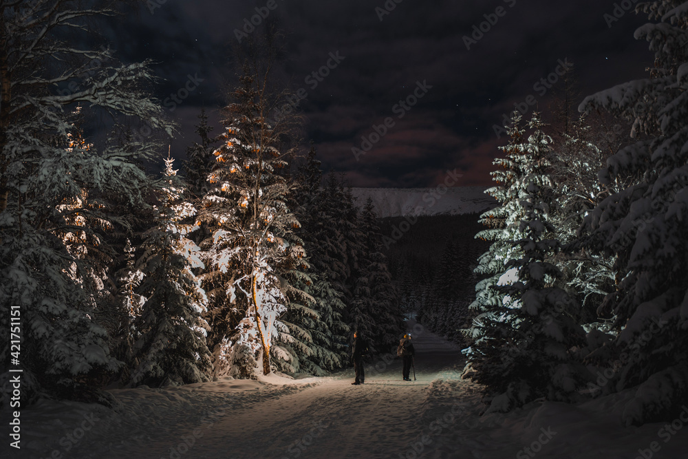 christmas tree at night