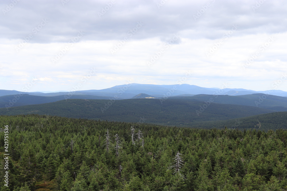 A view to the landscape with extensive forest from mountain Jizera, Czech republic