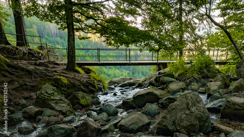 Wunderschönes Panorama Landschaft Todtnauer Wasserfälle im Schwarzwald ( Hochschwarzwald )  photo