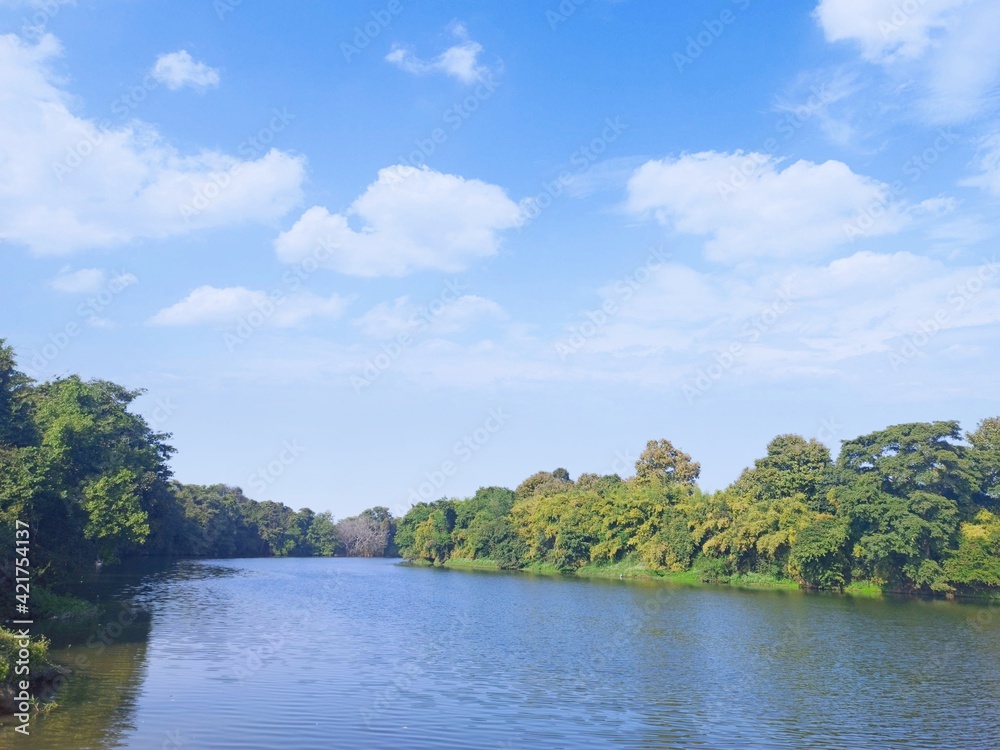 A scenic view of Beautiful River Narmada and green forest on the bank of it.
