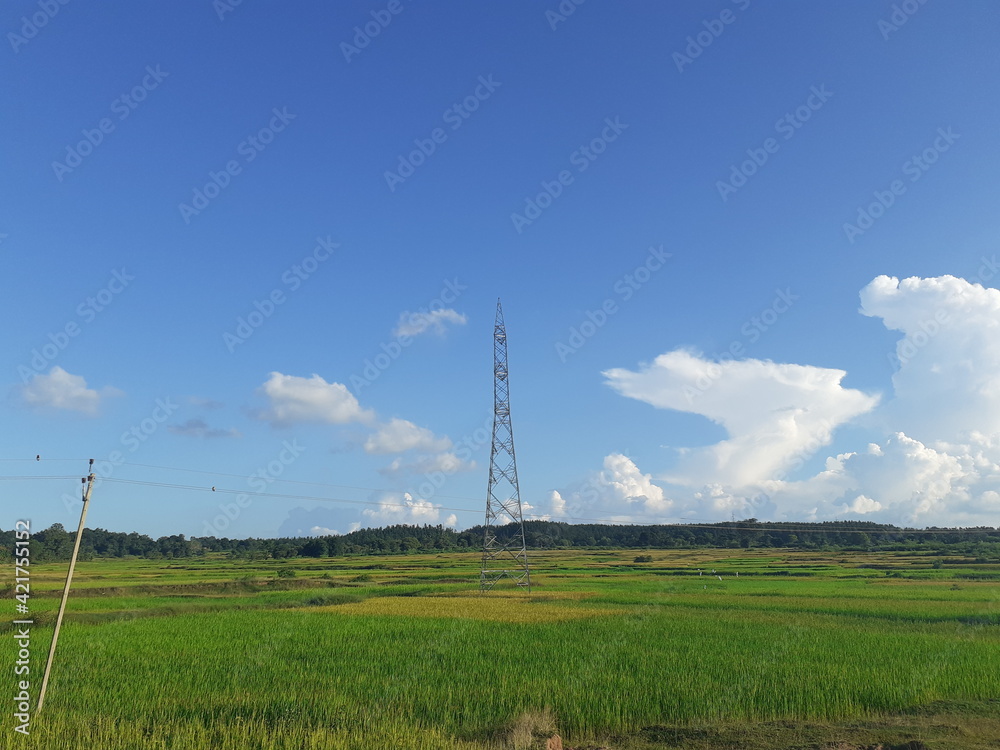 power lines on a field power lines on a field