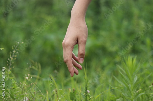 hands in the field © Саша Братанич