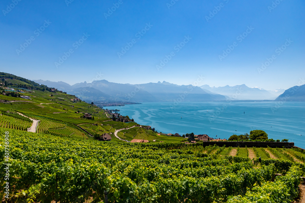 Vineyards on Lake Geneva, excursions and itineraries among the vineyards, panorama on Lake Geneva.