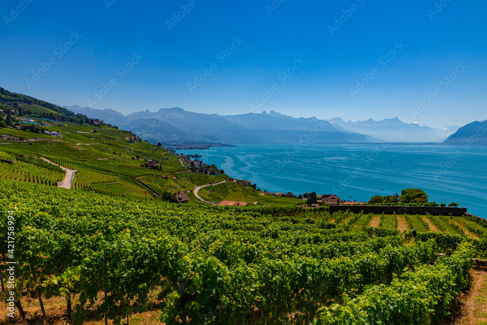 Vineyards on Lake Geneva, excursions and itineraries among the vineyards, panorama on Lake Geneva.