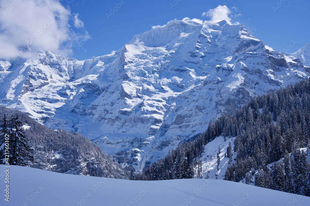 Panorama of Bernese Alps with Mountain Peak Jungfrau (virgin), seen from Mürren, Switzerland.