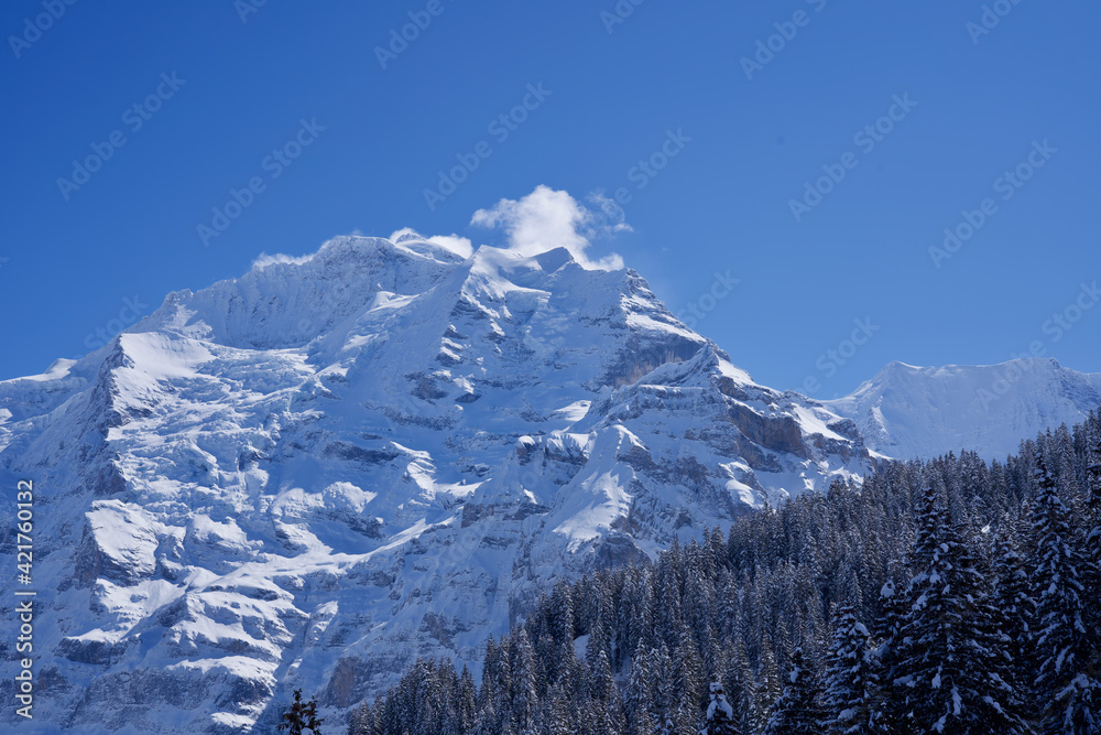 Panorama of Bernese Alps with Mountain Peak Jungfrau (virgin), seen from Mürren, Switzerland.