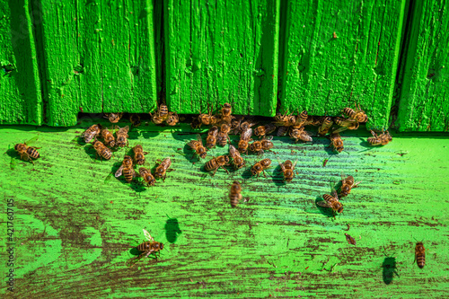 Old beehives in summer. Ecological and natural beekeeping.