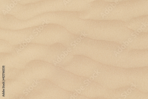 Sand texture background. Desert life. Sandy dune