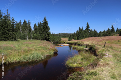 Beautiful summer nature in the mountains with trees, stream and little lakes at Jizerka, Czech republic