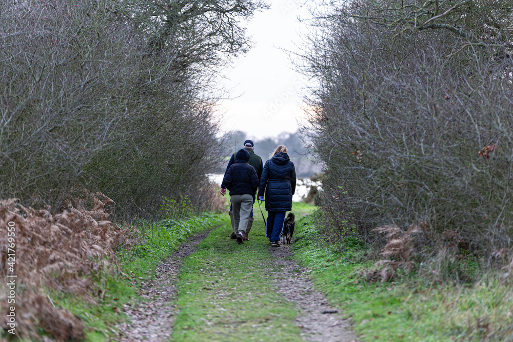 An unknown family walking their dog through the beautiful Suffolk countryside on a cold winters day
