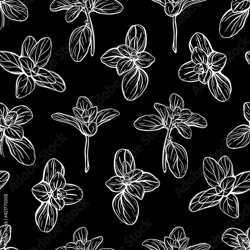  Basil Seamless Pattern. Italian herbs.A sprig of marjoram. Basil is a fragrant and fragrant seasoning. Hand-drawn illustration