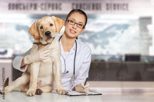 A beautiful young veterinarian with a dog on a hospital background