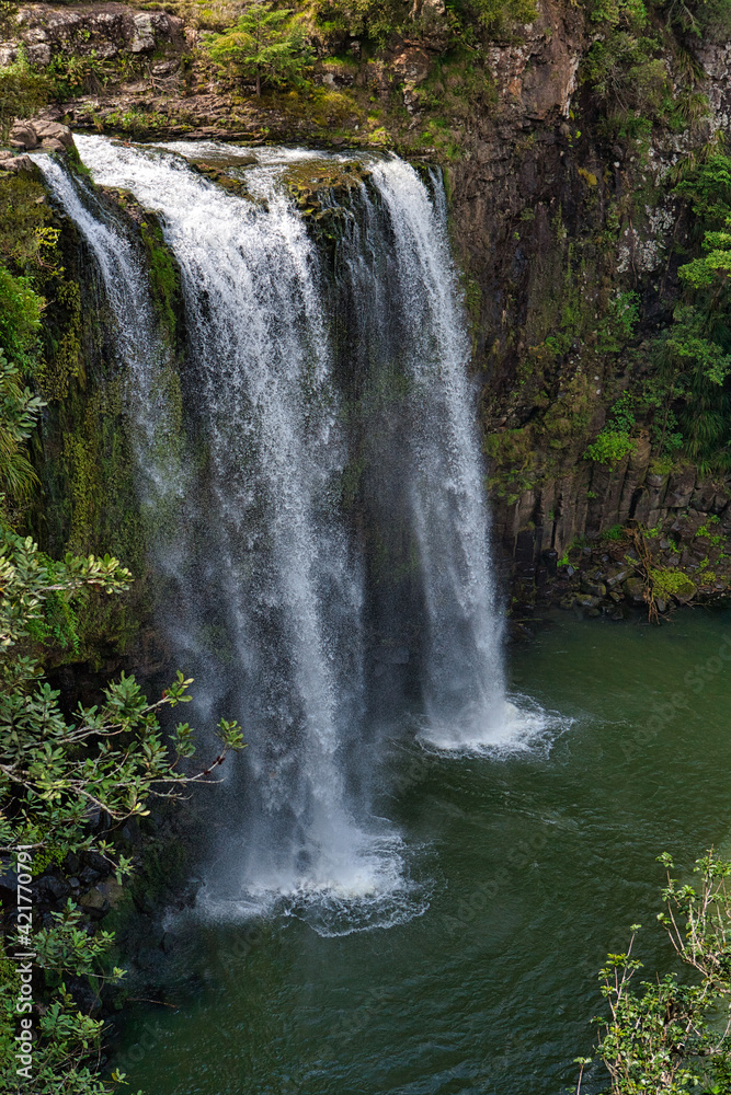 Fototapeta premium waterfall in the forest