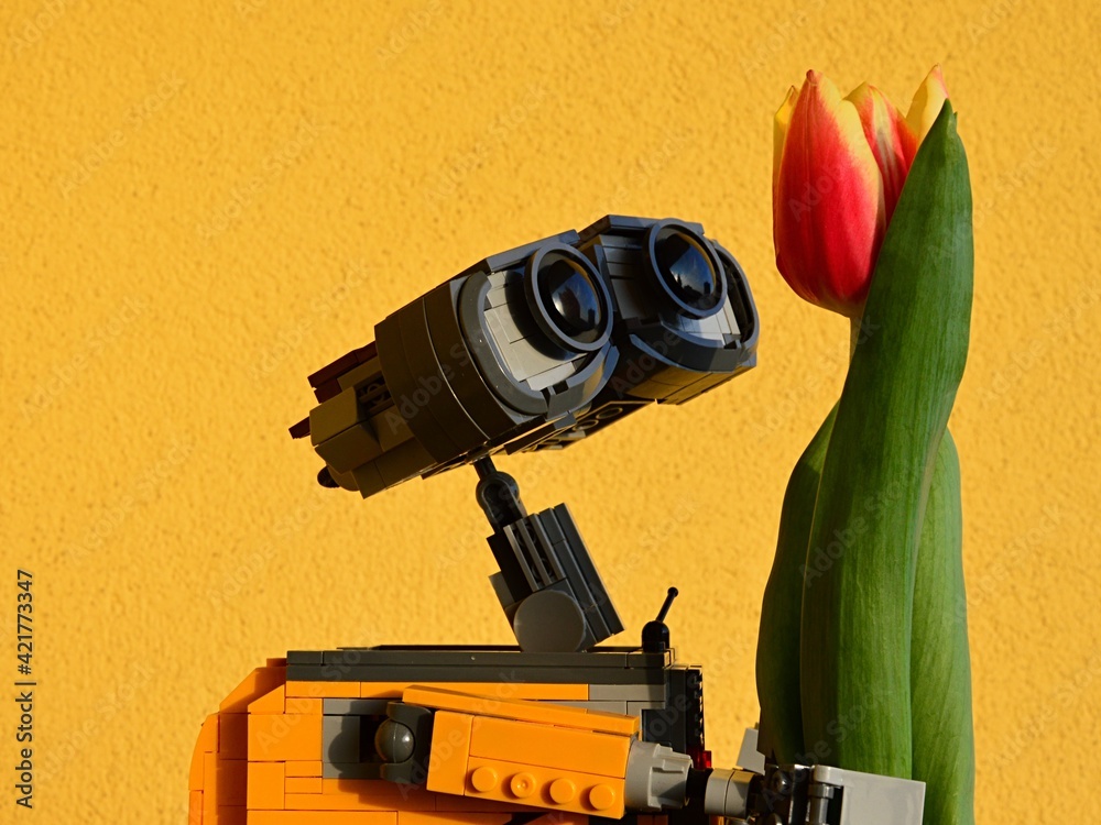 Lego Wall E Robot From Pixar Animated Movie Looking Closely At Real Orange Tulip Flower Bright Yellow Wall In Background Stock Photo Adobe Stock