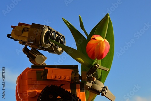 blocks Wall-E robot figure from Pixar animated movie carrying orange tulip flower, blue skies in background photo