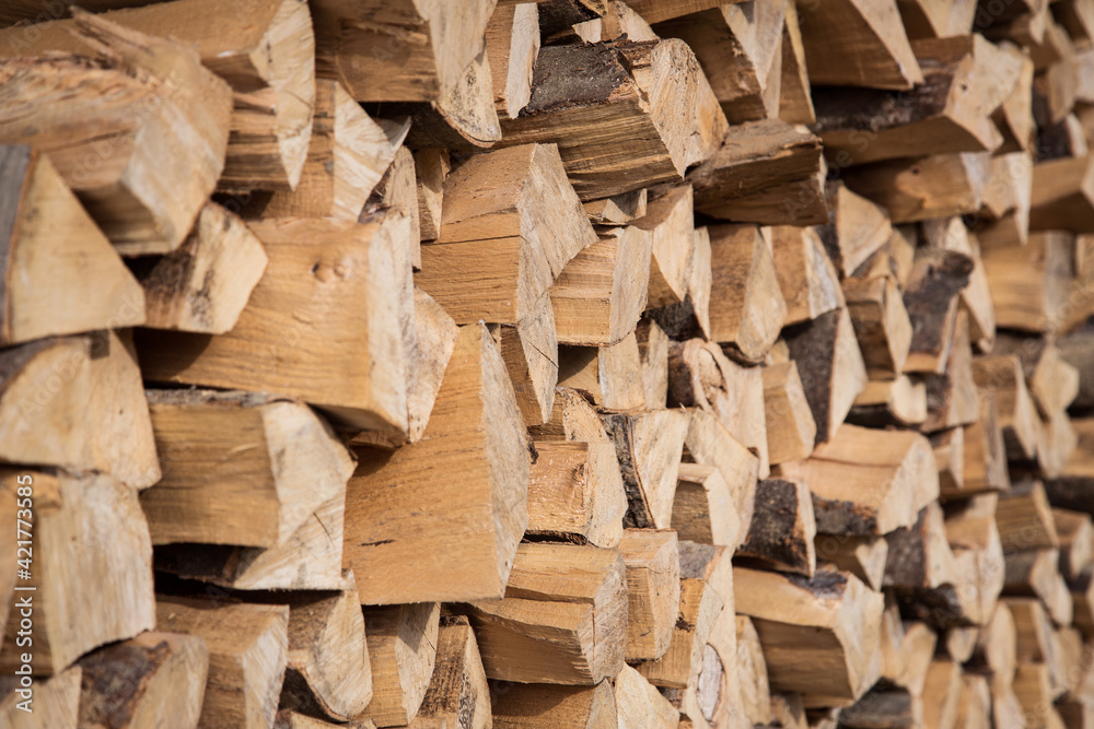 Pile of firewood. Preparation of firewood for the winter. Stacks of firewood in the forest. Pile of firewood. Preparation of firewood for the winter. Stacks of firewood in the forest.