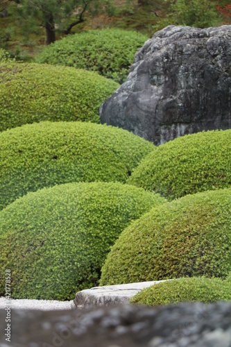 Japan Garden 庭園