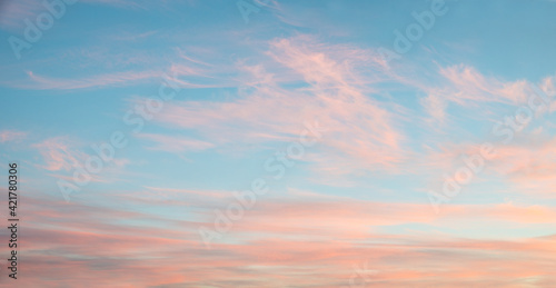 fluffy pink cirrus clouds at light blue sky, beautiful sunset scenery photo