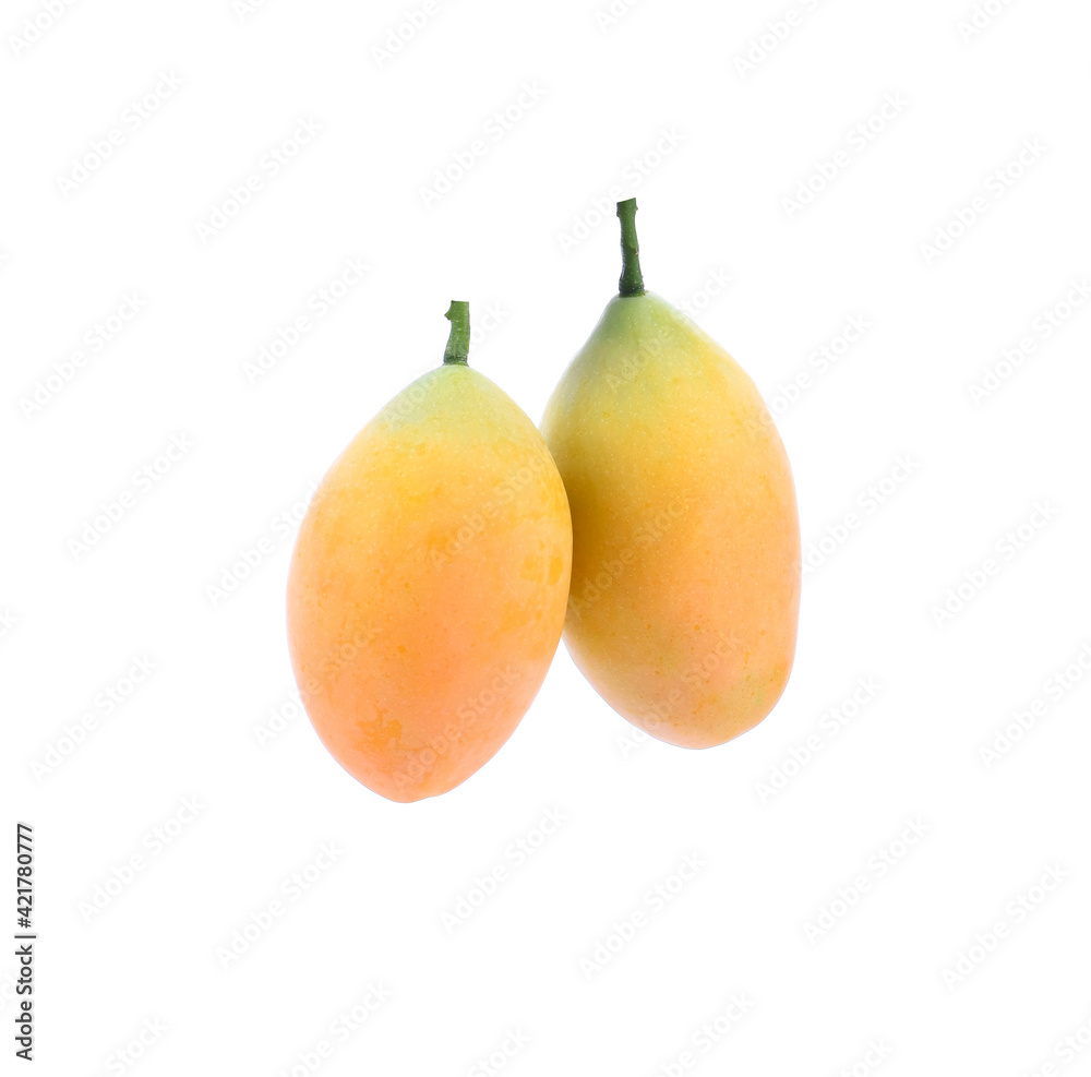 Marian Plum, (Bouea macrophylla Griffith). Marian Plum, (Bouea macrophylla Griffith).