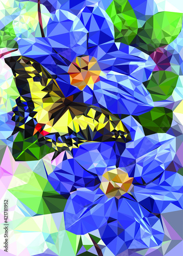 Swallowtail butterfly