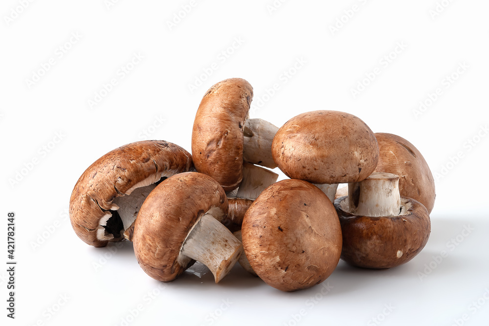 Fresh mushrooms isolated on white. Brown champignons. Bunch of mushrooms. Fresh mushrooms isolated on white. Brown champignons. Bunch of mushrooms.