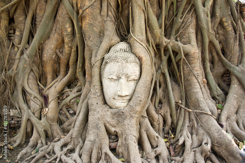 The famous Buddha head in a tree, Ayutthaya (Thailand) The famous Buddha head in a tree, Ayutthaya (Thailand)