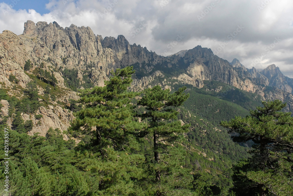 Mountain landscape in southern Corsica : 