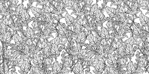 Arugula seamless pattern. Arugula leaves on a white background. Spicy and aromatic Italian seasoning. Hand-drawn vector illustration
