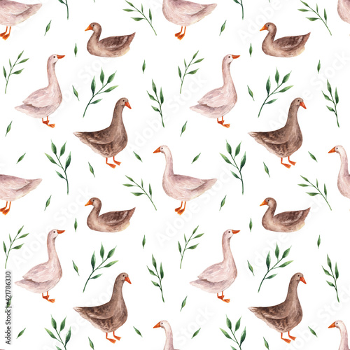 Pattern with geese in watercolor