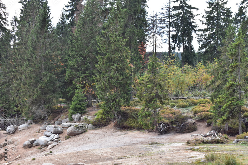 Obraz premium Landschaftsfotografie im Harz