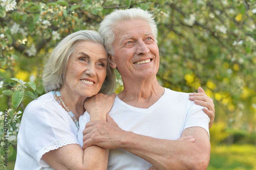portrait of beautiful senior couple posing in the park portrait of beautiful senior couple posing in the park