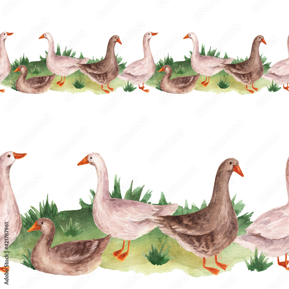Obraz premium Pattern with geese in watercolor